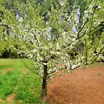 La Macchia