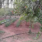 Bed & Breakfast La Macchia