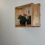 La Macchia Bed & Breakfast Melendugno