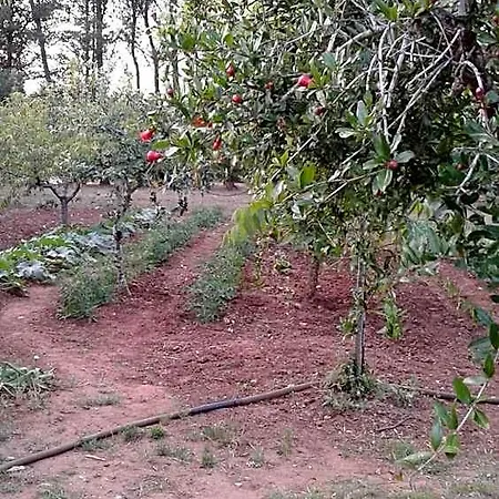 La Macchia ميليندونيو