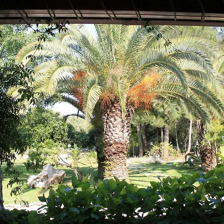 Bed & Breakfast La Macchia *