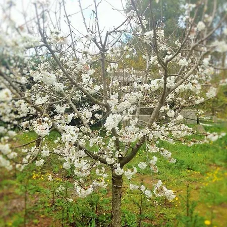 La Macchia *