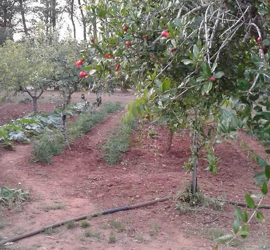 Oda ve Kahvaltı La Macchia