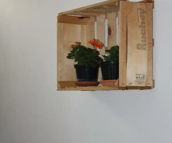 La Macchia Bed & Breakfast Melendugno