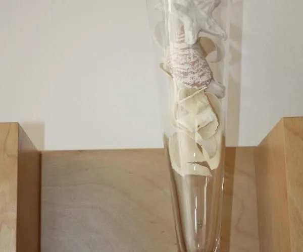 Oda ve Kahvaltı La Macchia