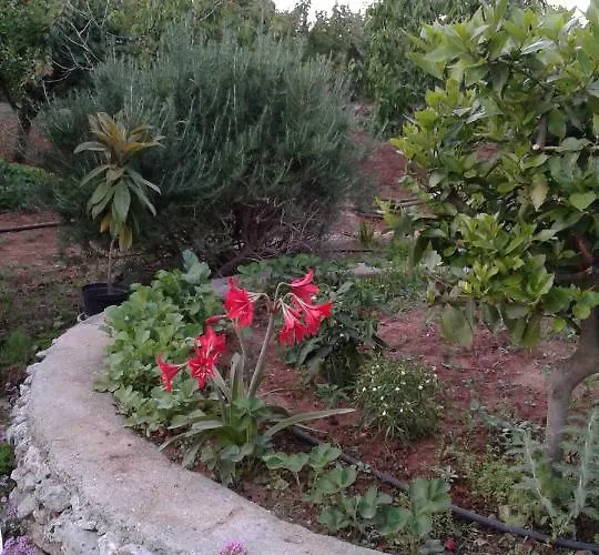 Oda ve Kahvaltı La Macchia